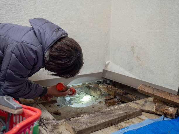 Best Mold Documentation for Insurance Claims  in English, IN