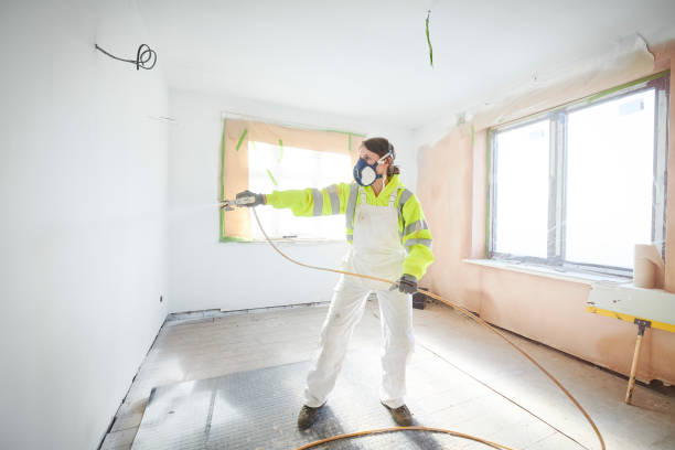 Professional Mold Removal in English, IN