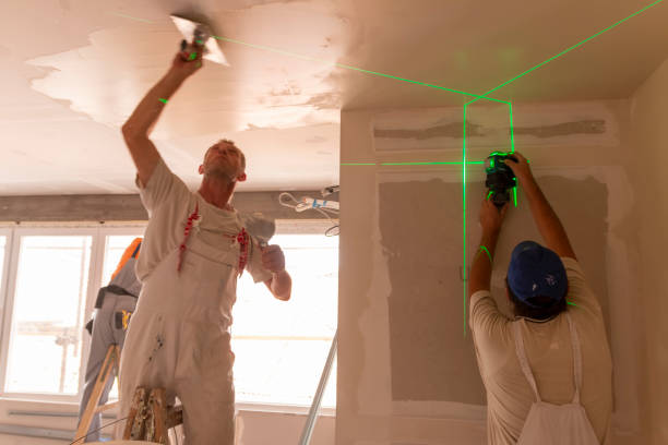 Best Mold Odor Removal Services  in English, IN